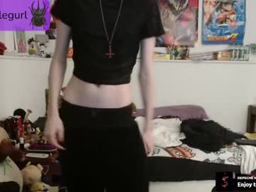 girl
        beetlegurl cam image #4941356