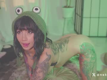 girl
        nekyra_san cam image #6472020