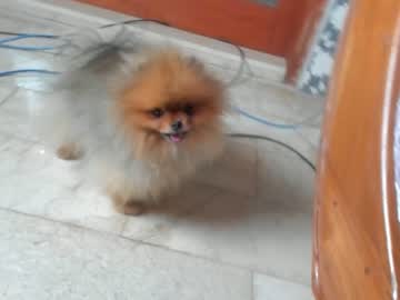 girl
        nadyabasinger cam image #2709545