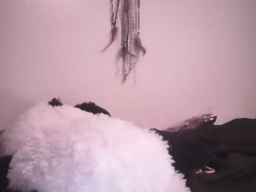 girl
        dixilanddelight0227 cam image #437939