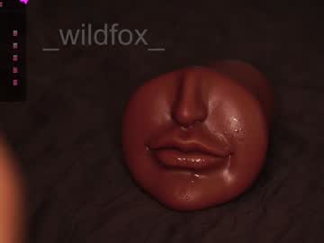 couple
        _wildfox_ cam image #5894834