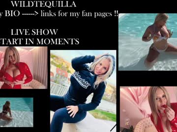 girl
        wildtequilla cam image #6730038