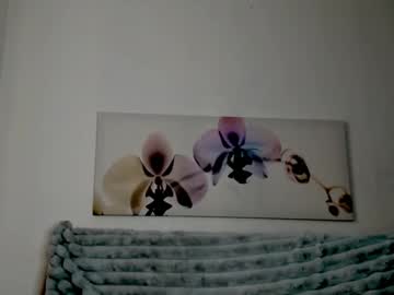 girl
        infinite_reality cam image #4312247