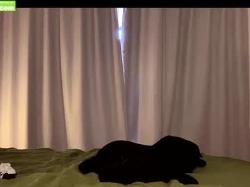 girl
        galantini cam image #1702221