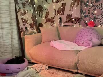 girl
        ari_02 cam image #3663013