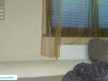 girl
        pbsteve cam image #5561158