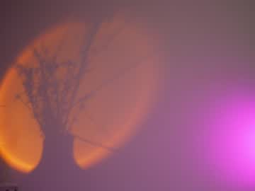 girl
        lucie_beltran cam image #1421553
