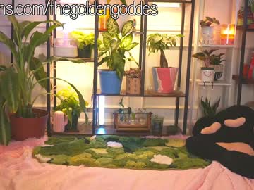 girl
        goldengoddessxxx cam image #6699807