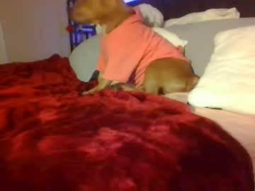 girl
        amoneyyyz cam image #272159