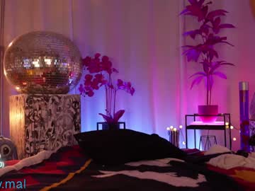 girl
        partymal cam image #4566423